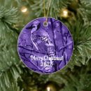 Search for blue jay ornaments Xmas
