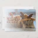 Search for carpet cards Photography