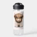 Search for scottish water bottles Scottish highland cow