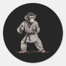Search for jiu jitsu stickers Kung fu