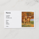 Recherche de golden retriever cartes visite Chiens