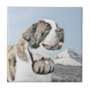 Search for bernard tiles Saint