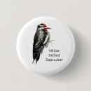 Search for bellis buttons Bellied