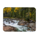 Recherche de montana vœux cartes Forêt