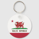 Search for draig Y draig goch