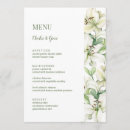 Recherche de fleur de lis vert Blanc