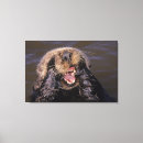 Search for sea otter canvas prints Marine life