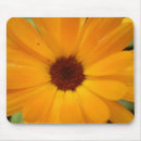 Search for raining mousepads Pretty