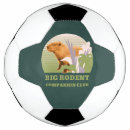 Search for funny soccer balls Rodent