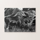 Recherche de moses puzzles Alaska