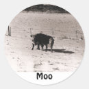 Search for winter farm stickers Cows