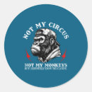 Search for these are my monkeys stickers On back