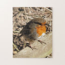 Search for robin puzzles Animals