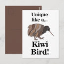 Recherche de kiwis cartes postales Oiseau