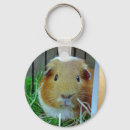 Search for guinea keychains Cavy