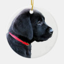 Search for red lab ornaments Labrador retriever