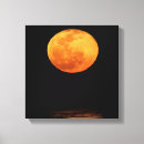 Search for full moon canvas prints Superstock