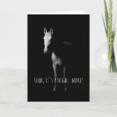 Search for equines cards Riding