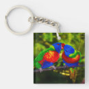 Search for colourful parrot keychains Parrots