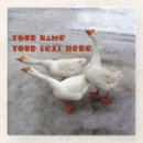 Search for beak coasters Animals