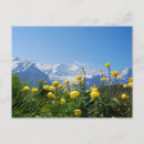 Recherche de jungfrau posters Swiss alps