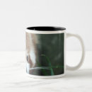 Recherche de panda roux tasses Ours