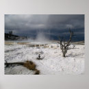 Search for mammoth hot spring Montana