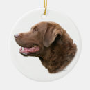 Search for hunting dog ornaments dogs