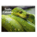 Search for reptile calendars 2025