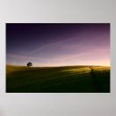 Search for lonely tree art Sunset