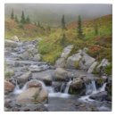 Search for mount rainier tiles National park