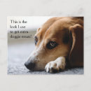 Recherche de yeux de chien cartes postales Animal