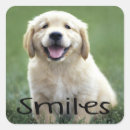 Search for golden smile stickers Puppy