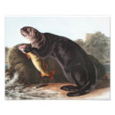 Recherche de animaux sauvages art Loutre