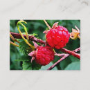Search for raspberry business cards Food