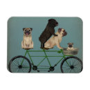 Recherche de tandem magnete Chiens à bicyclette