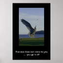 Search for gull photography Seagull