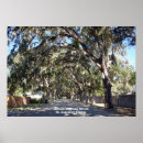 Search for magnolia tree art Landscape