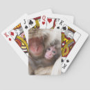 Recherche de singes jeux de cartes Macaque