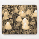 Search for toadstool electronics Fungus