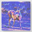 Recherche de buck dessous de verres Bannir