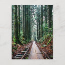 Recherche de traces cartes postales Paysage