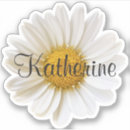 Search for daisy petals stickers Daisies
