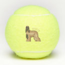 Recherche de afghan Dog