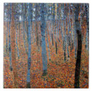 Search for beech tiles Forest