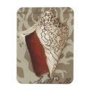 Search for sonnets magnets Coastal