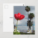 Recherche de coquelicots cartes postales Pour tous