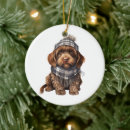 Search for wirehaired pointing griffon ornaments Pet