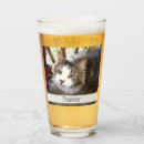 Recherche de chats chopes Pour eux