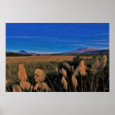 Search for tongariro posters Volcano